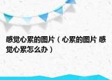 感覺(jué)心累的圖片（心累的圖片 感覺(jué)心累怎么辦）