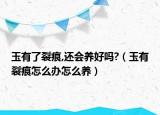 玉有了裂痕,還會(huì)養(yǎng)好嗎?（玉有裂痕怎么辦怎么養(yǎng)）