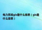 電力系統(tǒng)gis是什么意思（gis是什么意思）