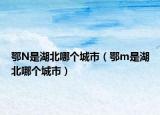 鄂N是湖北哪個城市（鄂m是湖北哪個城市）
