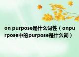 on purpose是什么詞性（onpurpose中的purpose是什么詞）