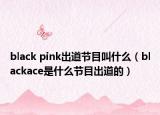 black pink出道節(jié)目叫什么（blackace是什么節(jié)目出道的）