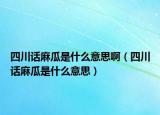 四川話麻瓜是什么意思?。ㄋ拇ㄔ捖楣鲜鞘裁匆馑迹? /></span></a>
                        <h2><a href=