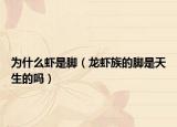 為什么蝦是腳（龍蝦族的腳是天生的嗎）