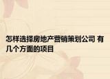 怎樣選擇房地產(chǎn)營銷策劃公司 有幾個方面的項目