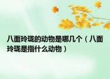 八面玲瓏的動(dòng)物是哪幾個(gè)（八面玲瓏是指什么動(dòng)物）