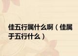 佳五行屬什么啊（佳屬于五行什么）