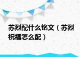 蘇烈配什么銘文（蘇烈祝福怎么配）
