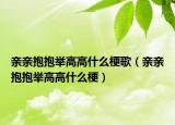 親親抱抱舉高高什么梗歌（親親抱抱舉高高什么梗）