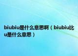 biubiu是什么意思?。╞iubiu比u是什么意思）