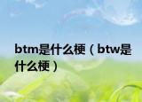 btm是什么梗（btw是什么梗）