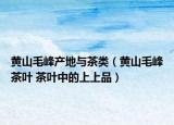 黃山毛峰產(chǎn)地與茶類（黃山毛峰茶葉 茶葉中的上上品）