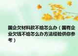 國企欠材料款不給怎么辦（國有企業(yè)欠錢不給怎么辦方法經(jīng)驗供你參考）