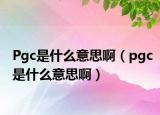 Pgc是什么意思?。╬gc是什么意思?。? /></span></a>
                        <h2><a href=