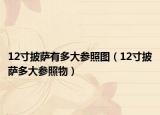 12寸披薩有多大參照圖（12寸披薩多大參照物）