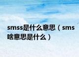 smss是什么意思（sms啥意思是什么）