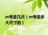 m號(hào)是幾尺（m號(hào)是多大尺寸的）