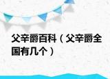 父辛爵百科（父辛爵全國有幾個）