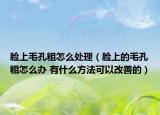 臉上毛孔粗怎么處理（臉上的毛孔粗怎么辦 有什么方法可以改善的）