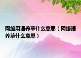 網(wǎng)絡用語養(yǎng)草什么意思（網(wǎng)絡語養(yǎng)草什么意思）