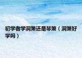 初學(xué)者學(xué)洞簫還是琴簫（洞簫好學(xué)嗎）