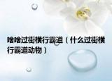 啥啥過(guò)街橫行霸道（什么過(guò)街橫行霸道動(dòng)物）