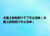 衣服上的枇杷汁干了怎么洗掉（衣服上的枇杷汁怎么洗掉）