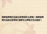 綠蘿的養(yǎng)殖方法和注意事項(xiàng)怎么繁殖（綠蘿的養(yǎng)殖方法和注意事項(xiàng) 綠蘿怎么養(yǎng)殖才生長的好）