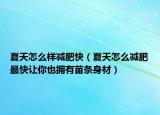 夏天怎么樣減肥快（夏天怎么減肥最快讓你也擁有苗條身材）