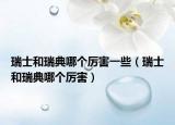 瑞士和瑞典哪個厲害一些（瑞士和瑞典哪個厲害）