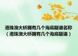 港珠澳大橋擁有幾個(gè)海底隧道名稱（港珠澳大橋擁有幾個(gè)海底隧道）