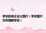 早安的真正含義圖片（早安圖片 怎樣理解早安）