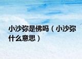 小沙彌是佛嗎（小沙彌什么意思）