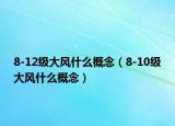 8-12級(jí)大風(fēng)什么概念（8-10級(jí)大風(fēng)什么概念）