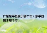 廣東東平縣屬于哪個(gè)市（東平縣屬于哪個(gè)市）