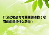什么動(dòng)物是彎彎曲曲的動(dòng)物（彎彎曲曲是指什么動(dòng)物）
