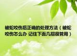被蛇咬傷后正確的處理方法（被蛇咬傷怎么辦 記住下面幾招很管用）