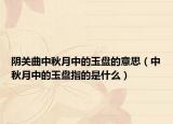 陰關(guān)曲中秋月中的玉盤的意思（中秋月中的玉盤指的是什么）