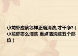 小龍蝦應(yīng)該怎樣正確清洗,才干凈?（小龍蝦怎么清洗 重點(diǎn)清洗這五個(gè)部位）