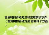 富貴樹的養(yǎng)殖方法和注意事項水養(yǎng)（富貴樹的養(yǎng)殖方法 有哪幾個方面）
