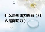 什么是剪切力圖解（什么是剪切力）