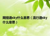網(wǎng)絡(luò)語sky什么意思（流行語sky什么意思）