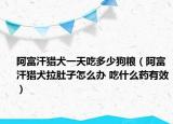 阿富汗獵犬一天吃多少狗糧（阿富汗獵犬拉肚子怎么辦 吃什么藥有效）