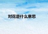 對(duì)花是什么意思