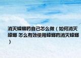 消滅蟑螂藥自己怎么做（如何消滅蟑螂 怎么有效使用蟑螂藥消滅蟑螂）