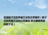 盆栽梔子花的養(yǎng)殖方法和注意事項(xiàng)（梔子花的養(yǎng)殖方法和注意事項(xiàng) 養(yǎng)出健康美麗的梔子花）