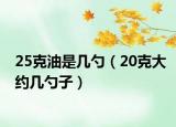 25克油是幾勺（20克大約幾勺子）