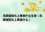 鳥(niǎo)屎掉到頭上寓意什么生肖（鳥(niǎo)屎掉到頭上寓意什么）