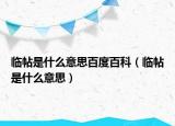 臨帖是什么意思百度百科（臨帖是什么意思）