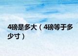 4磅是多大（4磅等于多少寸）